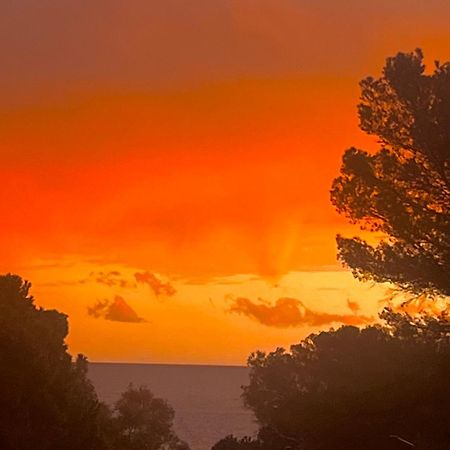 Maison Classee Sur Le Golfe De St Tropez Saint-Tropez Exterior photo